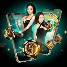 rummy app